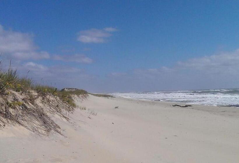 غرفة قياسية, Windward Shores