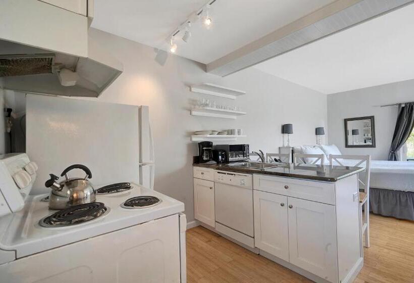 إستوديو قياسى, Windward Shores