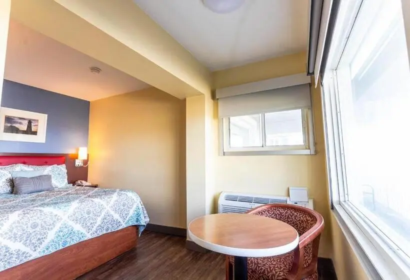 Standard-huone Merinäkymä, Scarborough Beach Motel