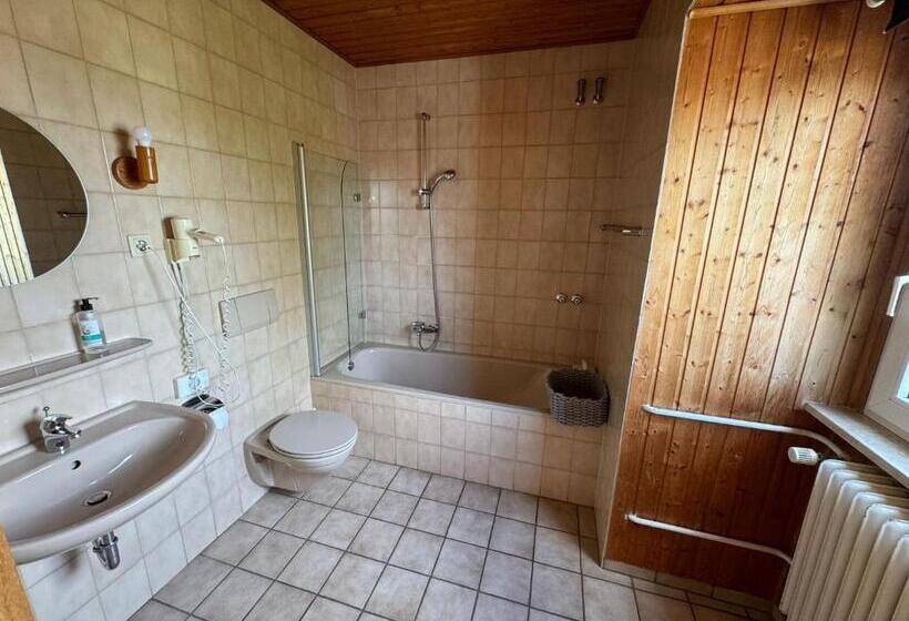 غرفة ديلوكس, Schloss Hotel Kastellaun