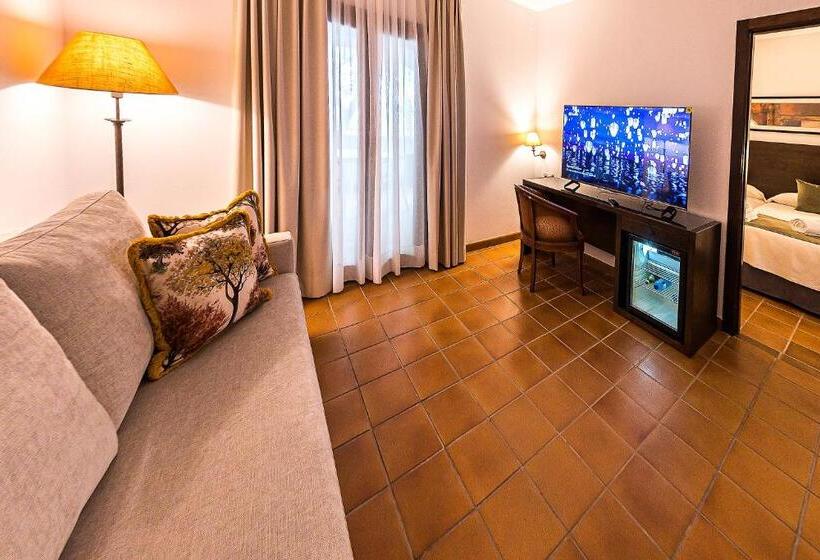 带露台的套间, Ic Hoteles   Restaurante Casa García Almonaster La Real