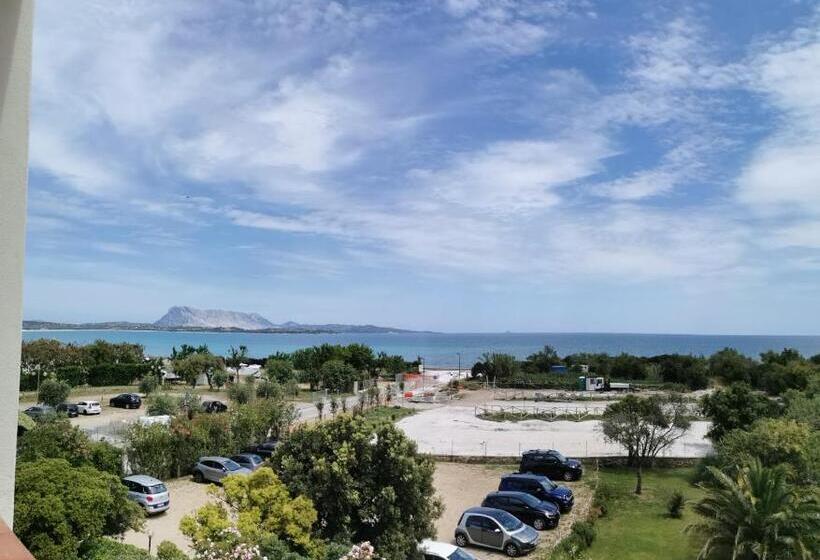 高级海景房, Onda Marina