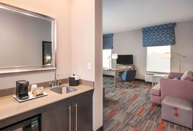 ダブルベッドのスタンダードスタジオ, Hampton Inn & Suites At Wisconsin Dells Lake Delton