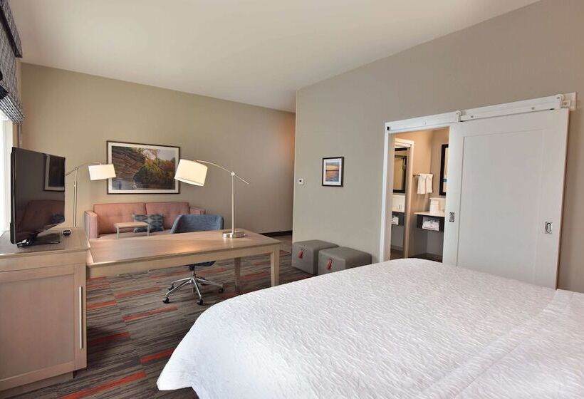 Студия Стандарт Двуспальная Кровать, Hampton Inn & Suites At Wisconsin Dells Lake Delton