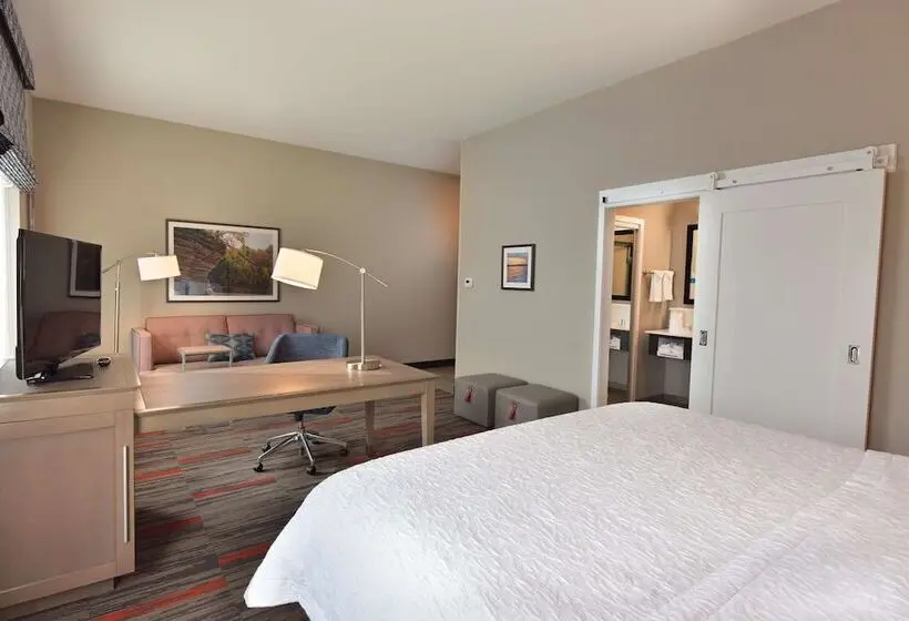ダブルベッドのスタンダードスタジオ, Hampton Inn & Suites At Wisconsin Dells Lake Delton