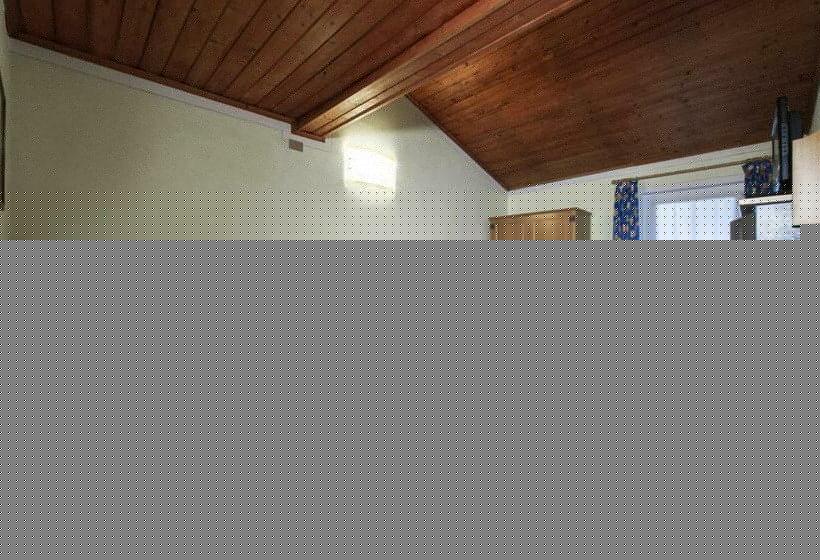 古典房间, Stella