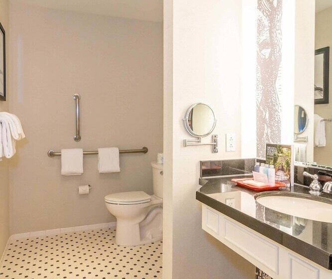 장애인용 디럭스룸, Williamsburg Lodge, Autograph Collection