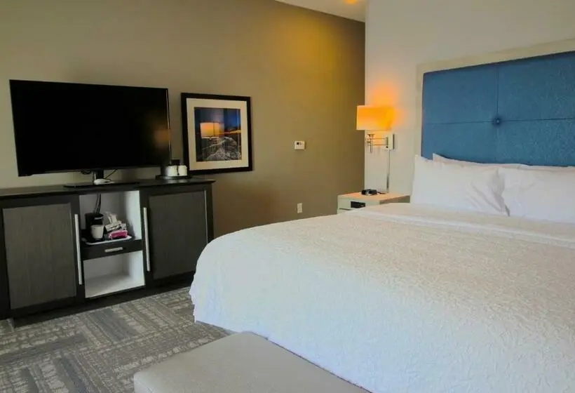 キングサイズベッドのスタンダードルーム, Hampton Inn West Plains