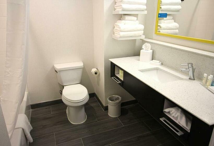 غرفة قياسية, Hampton Inn West Plains