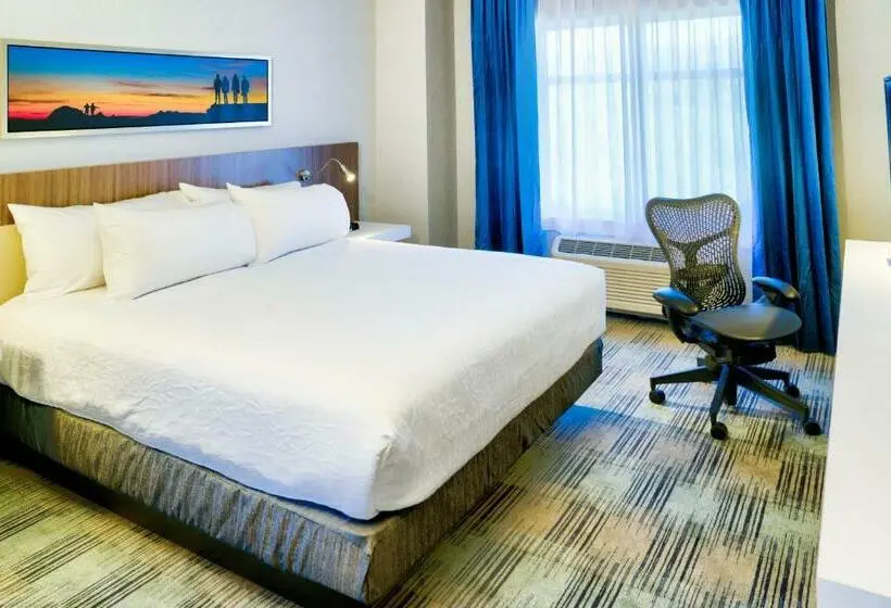 身障者適用キングサイズベッドルーム, Hilton Garden Inn Santa Barbara/goleta