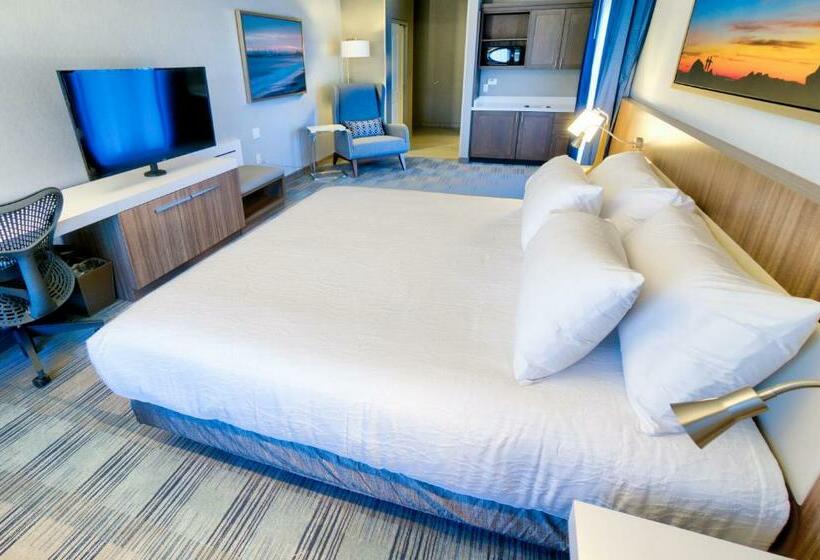 اتاق استاندارد با تخت بزرگ, Hilton Garden Inn Santa Barbara/goleta