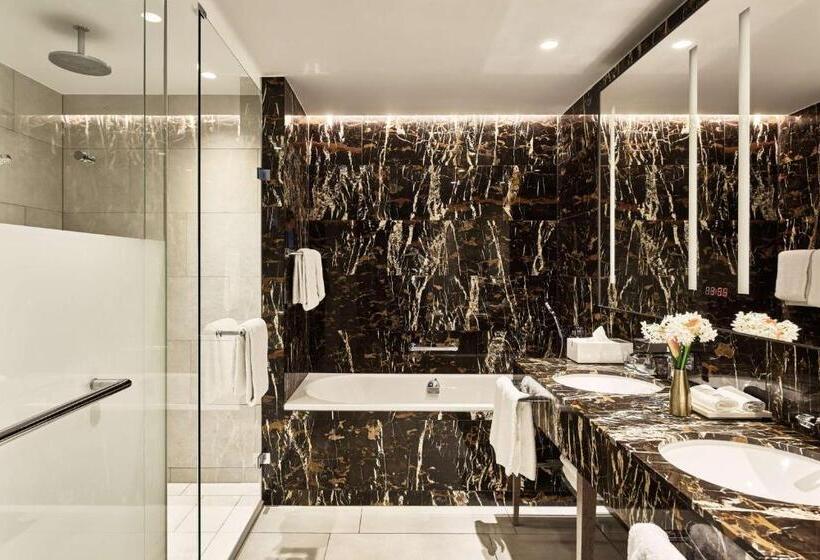 Люкс, Hyatt Regency Amsterdam