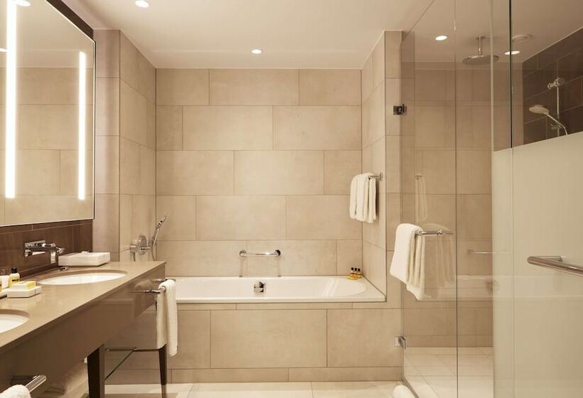 Suite, Hyatt Regency Amsterdam