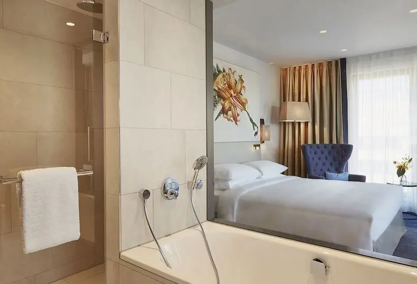 Deluxe Room, Hyatt Regency Amsterdam