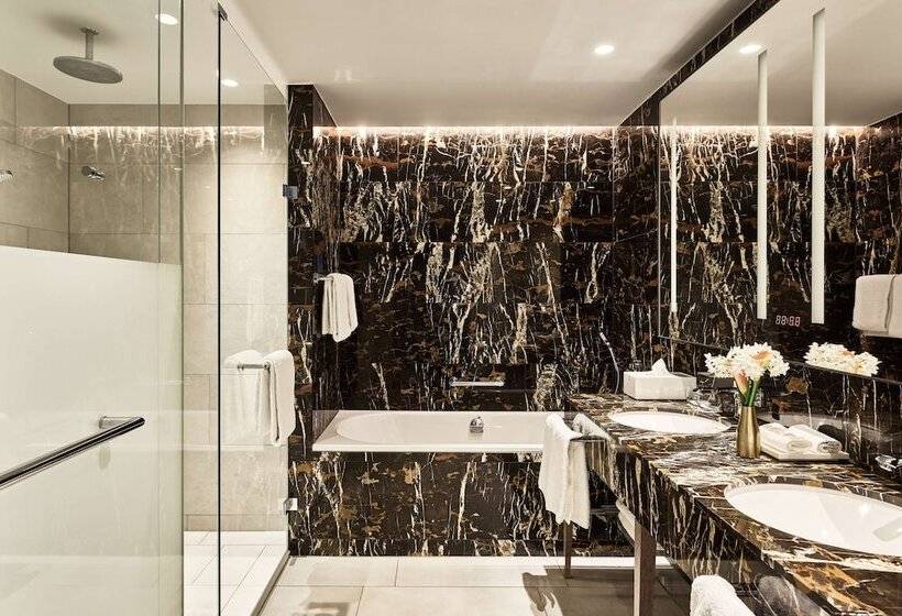 Люкс, Hyatt Regency Amsterdam