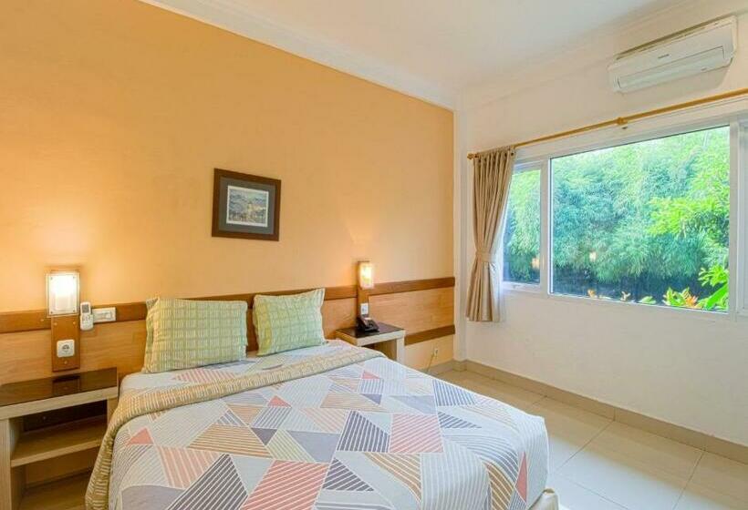 חדר סופריור, Citrushouse.com