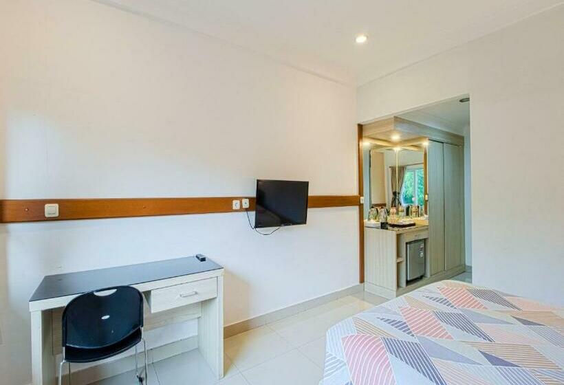 חדר סופריור, Citrushouse.com