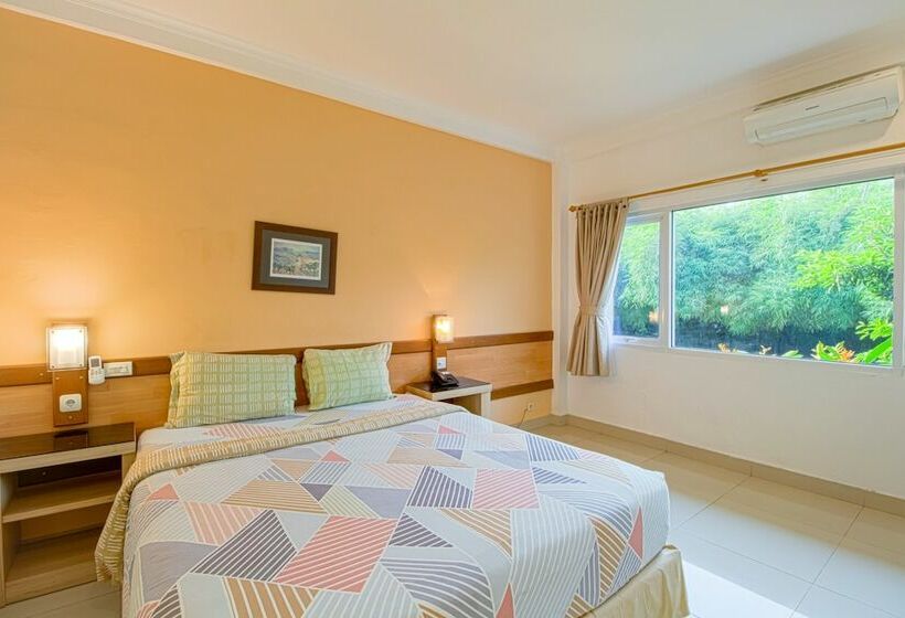 חדר סופריור, Citrushouse.com