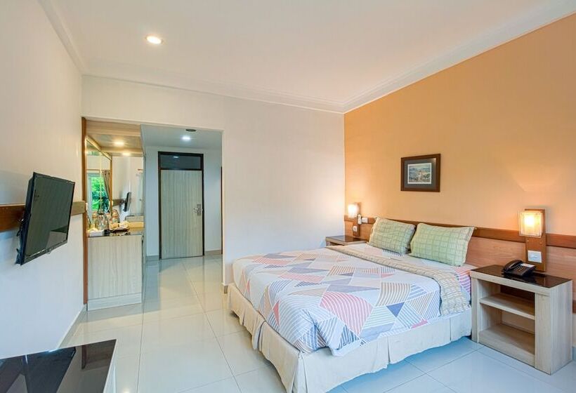 חדר סופריור, Citrushouse.com