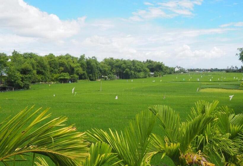 اتاق لوکس خانوادگی, Azumi