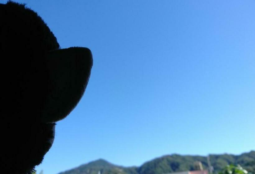 패밀리 룸 산 전망, Yadoya Lodge