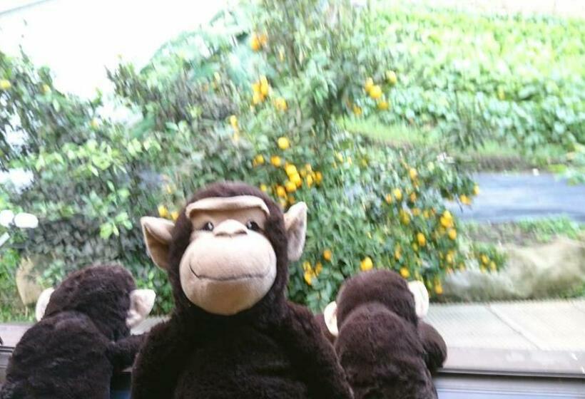 패밀리 룸 산 전망, Yadoya Lodge