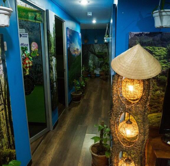 غرفة قياسية, Orchid Haven