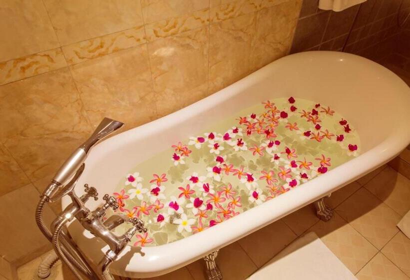 اتاق اجرایی, Seashells Millennium