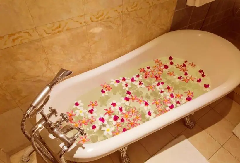 اتاق اجرایی, Seashells Millennium