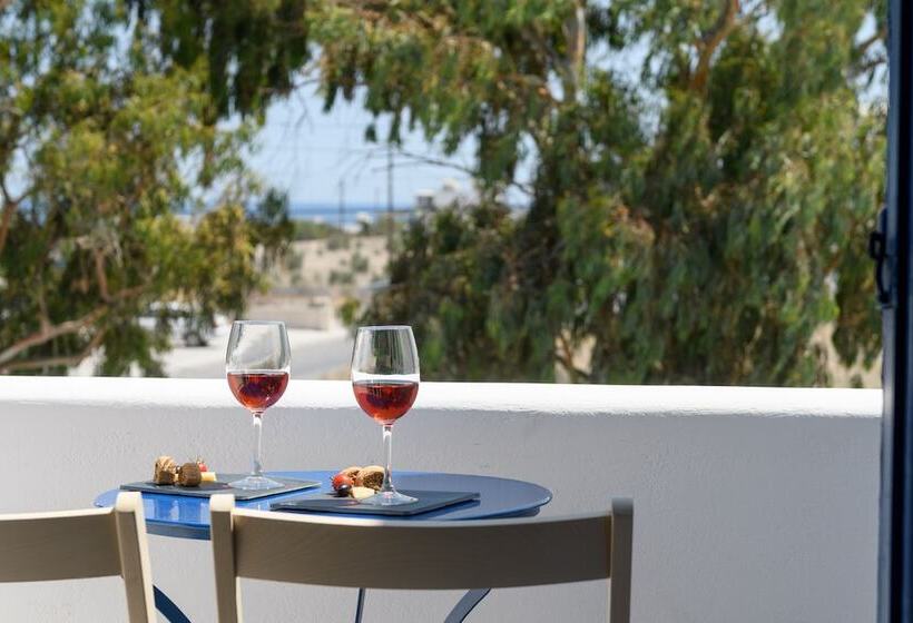 스탠다드 룸, Aegeeis