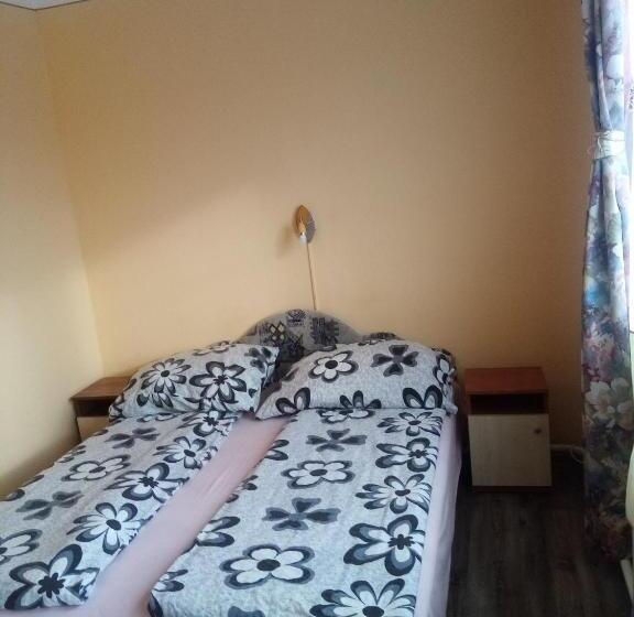 スタンダード5人部屋, Katica Vend¿