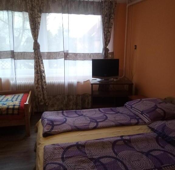 ファミリールーム, Katica Vend¿