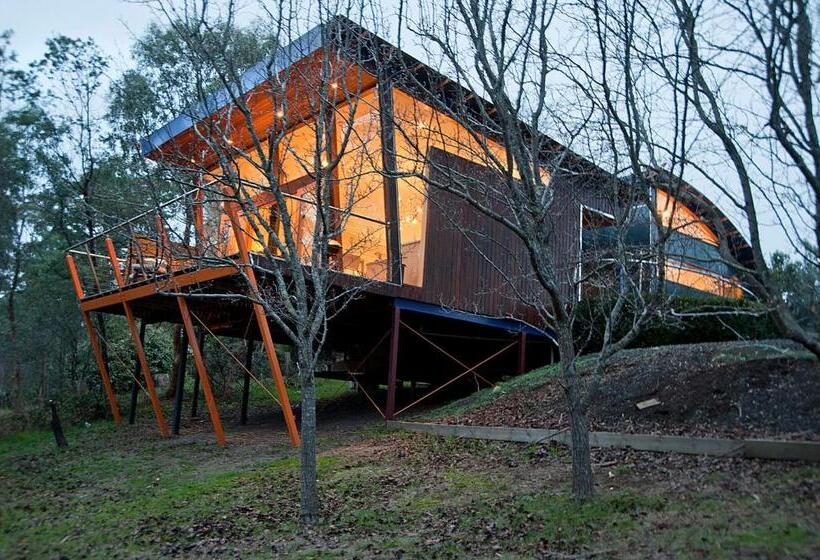 Вилла 1 Спальня, Kudos Villas   Hepburn Springs