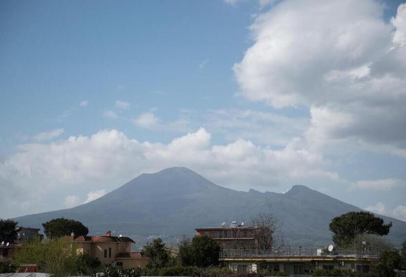 标准间, Area Domus