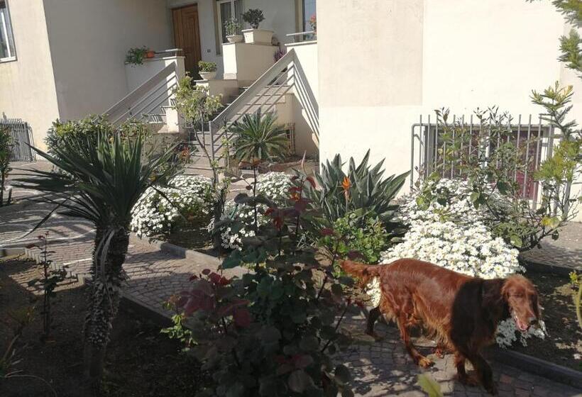 标准间, Area Domus