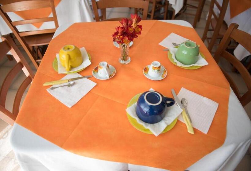 标准间, Area Domus