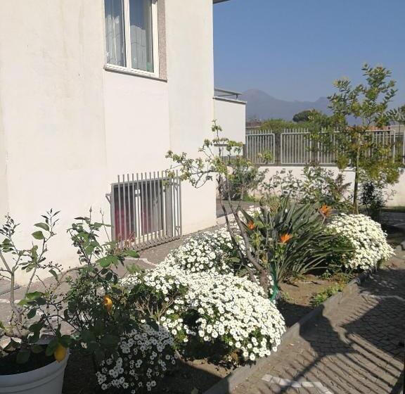 标准三人间, Area Domus