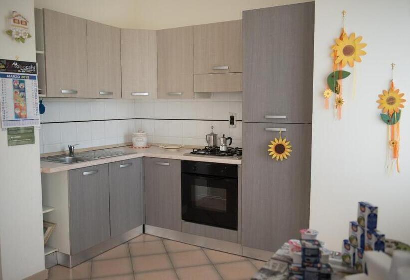 标准间, Area Domus