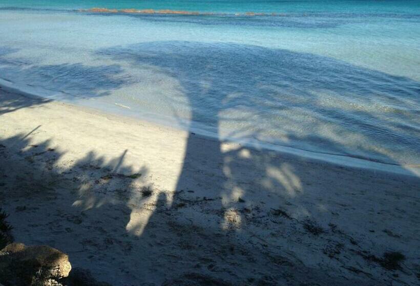 شقة غرفة واحدة, Les Terrasses Du Grand Large