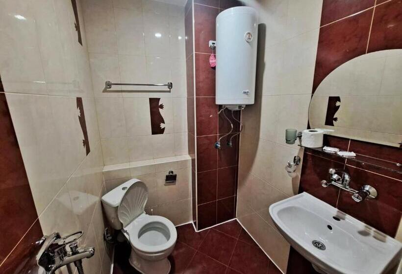 غرفة قياسية, Mirage Pleven