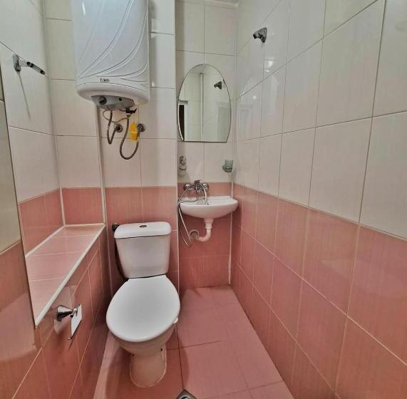 חדר אקונומי, Mirage Pleven