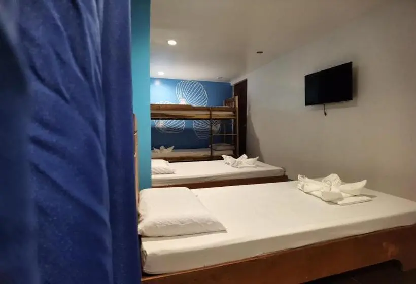 エコノミー4人部屋, Amos Pili Tree Inn Powered By Cocotel