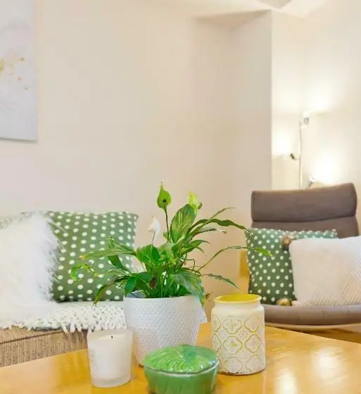 آپارتمان 1 خوابه, Five Lamps Suites