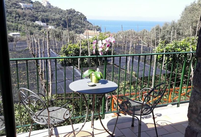 חדר סטנדרט, Agriturismo La Lobra