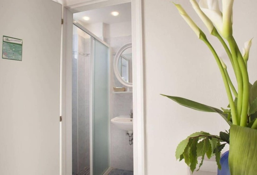 スタンダード４人部屋, Acquamarina