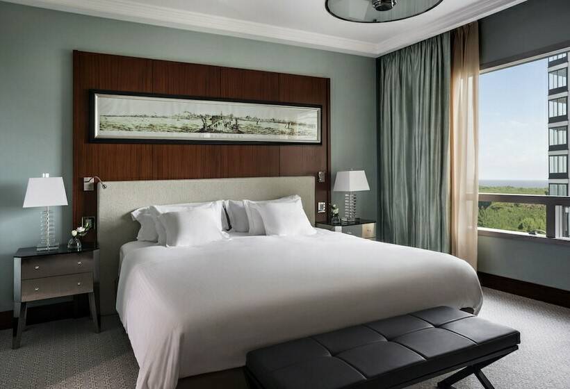 سوئیت جونیور با چشم‌انداز, Alvear Icon