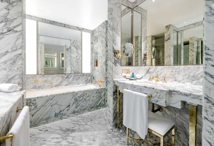 سوئیت جونیور با چشم‌انداز, Alvear Icon