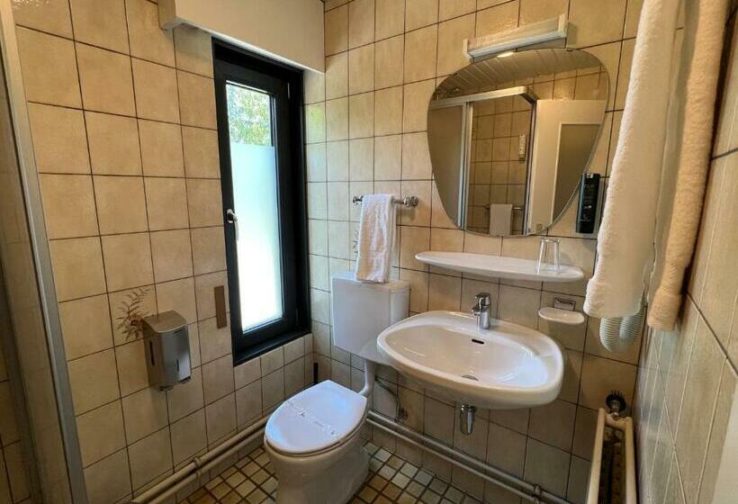 اتاق استاندارد, Hôtel Restaurant Lamy