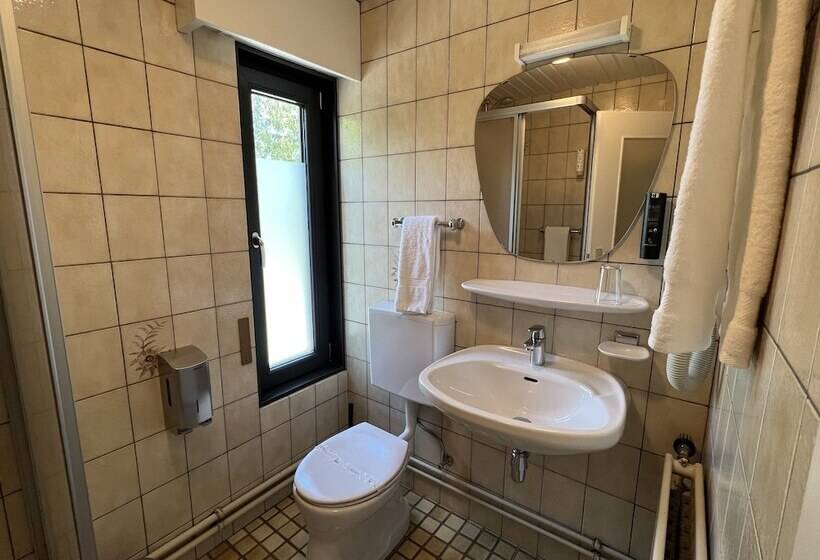 اتاق کلاسیک, Hôtel Restaurant Lamy