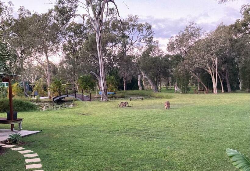 חדר סטנדרט עם מרפסת, Agnes Water Stays Over18 S